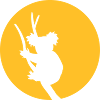 Koala In The Moonlight