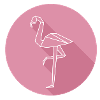 flamingo
