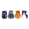 4 cats