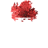 NATSU - SUMMER - SUMMER - JAPANESE