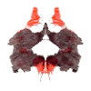 Rorschach Table 2/10