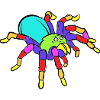 Spider Funny