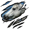 Arabian thoroughbred in me