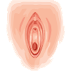 vagina