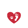 Team Gassi