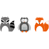 Raccoon
