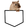 sac hamster