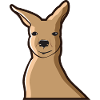 Kangaroo Kangaroo Australia Marsupial Pouch
