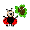 Marini shamrock