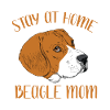 Beagle Dog