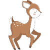 Fawn