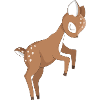 Fawn animal baby