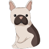 Bulldog français