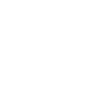 Freedom Biker