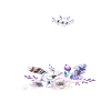 I'm getting meowed