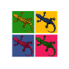 lézard
