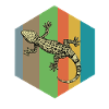 lézard