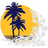 palm sunset