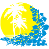 palm sunset