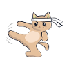 Karate cat / martial arts