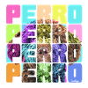 NASSU - Perro Carneval