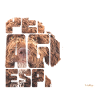 NASSU - Perro De Agua