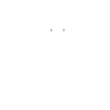 Katze