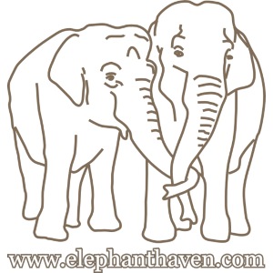 Elephants