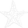 starfish