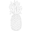 pineapple