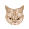 - Avant de fragst_Nein (Chat)