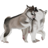 Cute Baby Wolfs