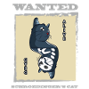Schrödinger's Cat