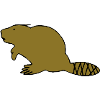 Beaver