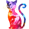 Chat