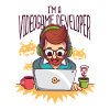 Video Game Developer - Videogame Developer