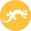 Gecko salamander lizard