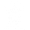 BJJ Leo - BJJ Brazilian Jiu Jitsu, MMA Shirt