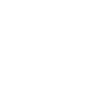 Poker Chip (w)