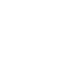BSG Viper