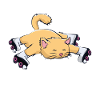 Cat with roller skates