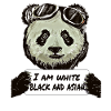 Cool Pilot Panda