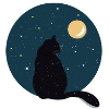 Chat noir devant la lune.