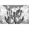 peace and freedom
