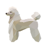 Low-Poly Pudel Hund