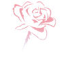 Blume,Rose