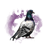 Pigeon Whisperer pigeon pigeon