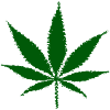 Cannabis (Green Edition)