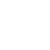 Logo Bikini