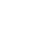 Vizsla Dad